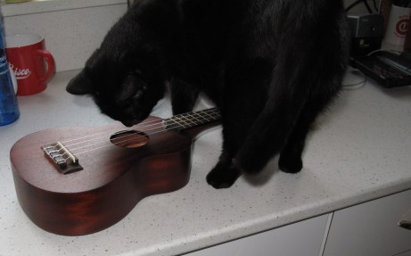 Luna-Valerie and uke